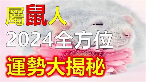 鼠年運勢|屬鼠人2024年總運勢，屬鼠人的愛情，事業運勢，屬鼠人2024年。